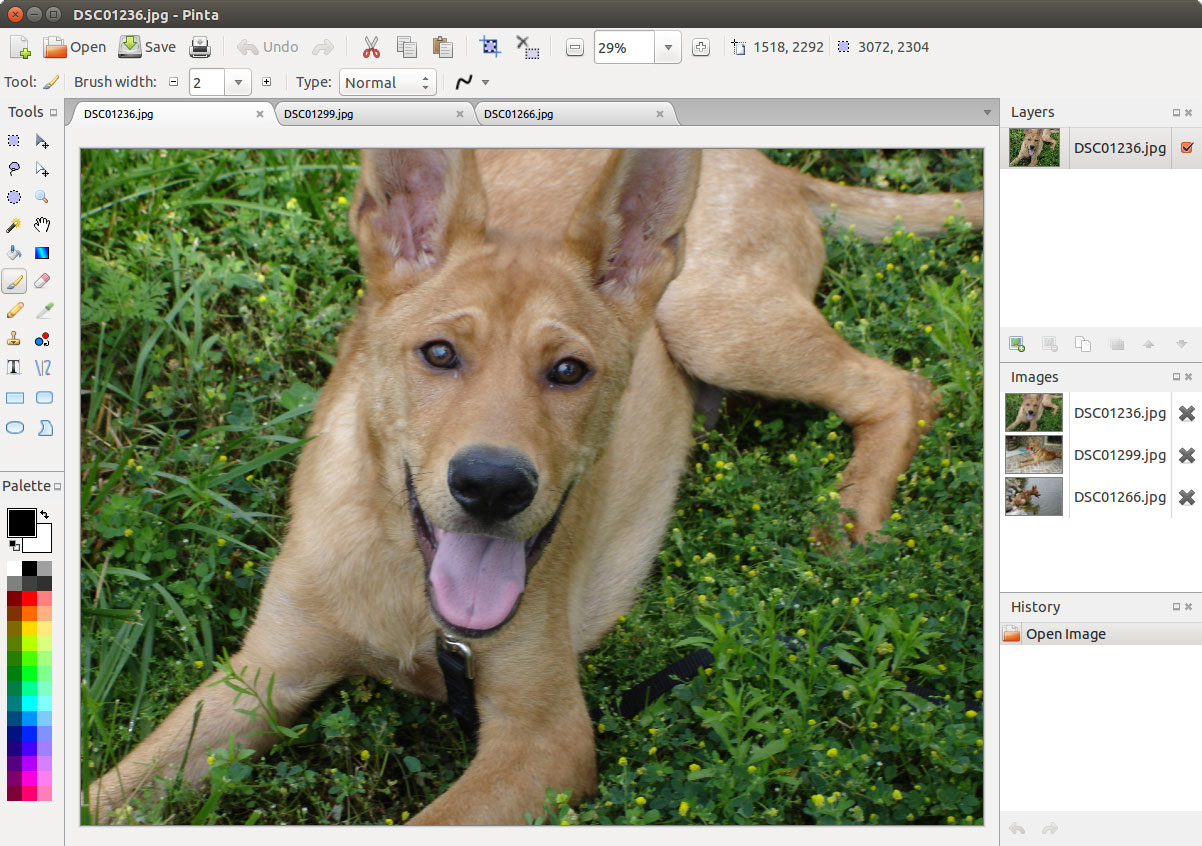 Pinta Open-Source Image Editing and Drawing App Sees New Major Release After 5 Years