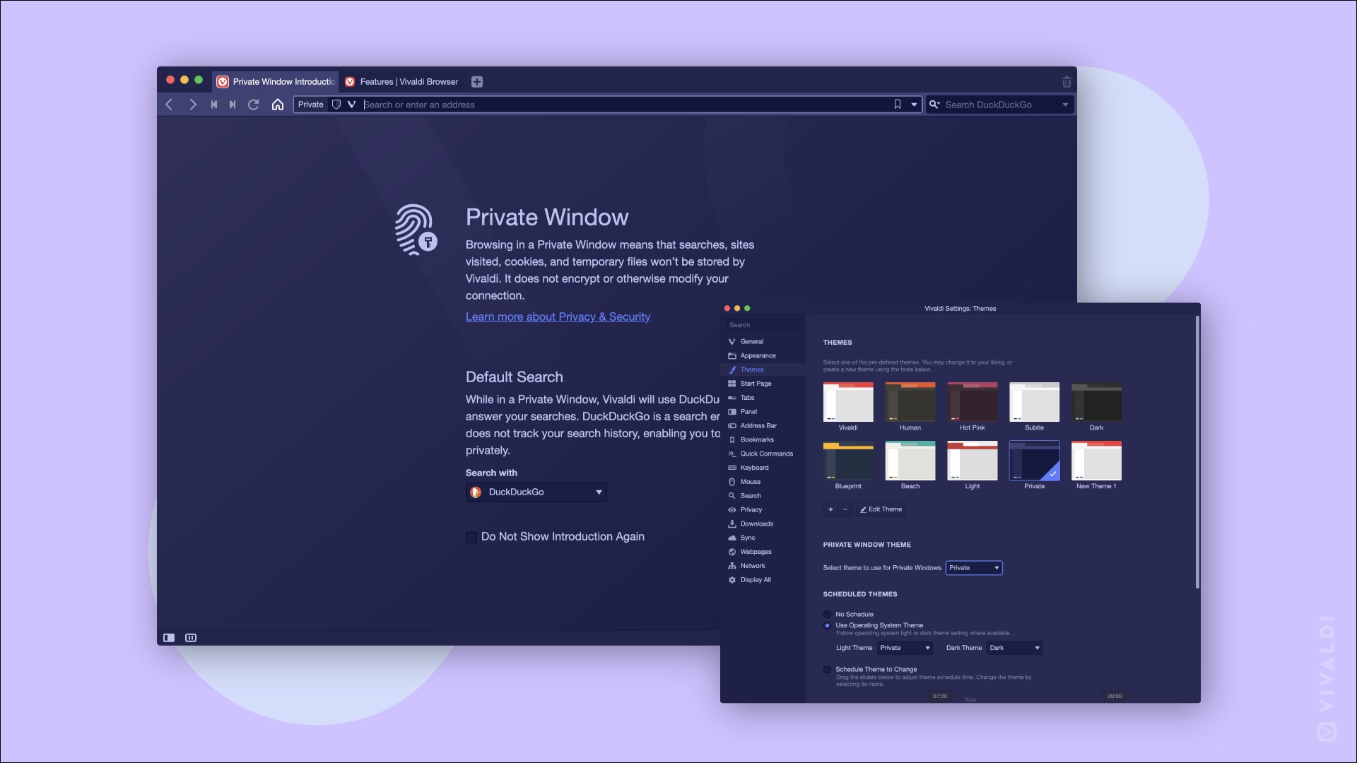 Vivaldi 3.3 Lets You Pause the Internet, Adds New Private Window Themes