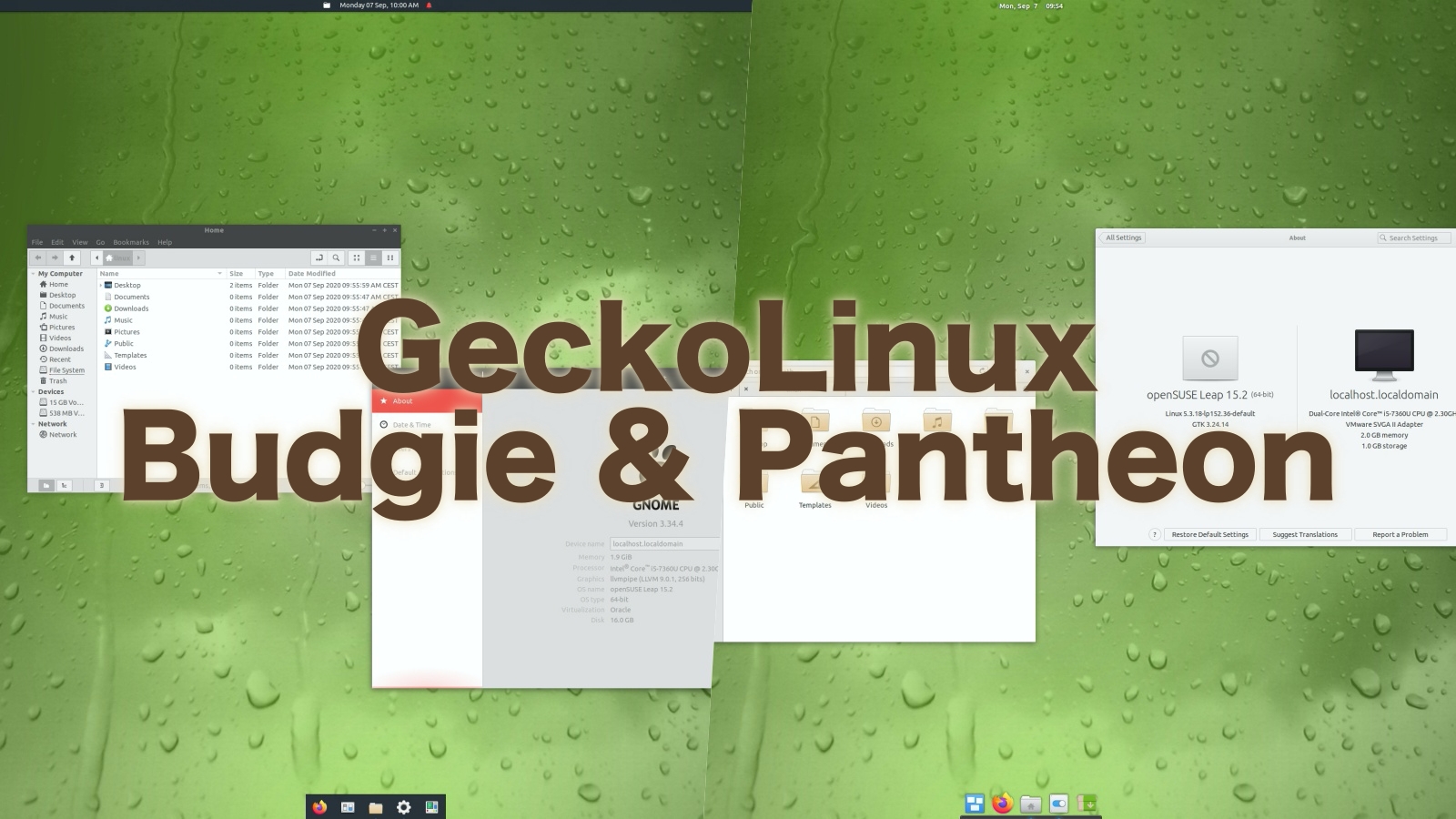 GeckoLinux Launches New Editions with Budgie and Pantheon Desktops