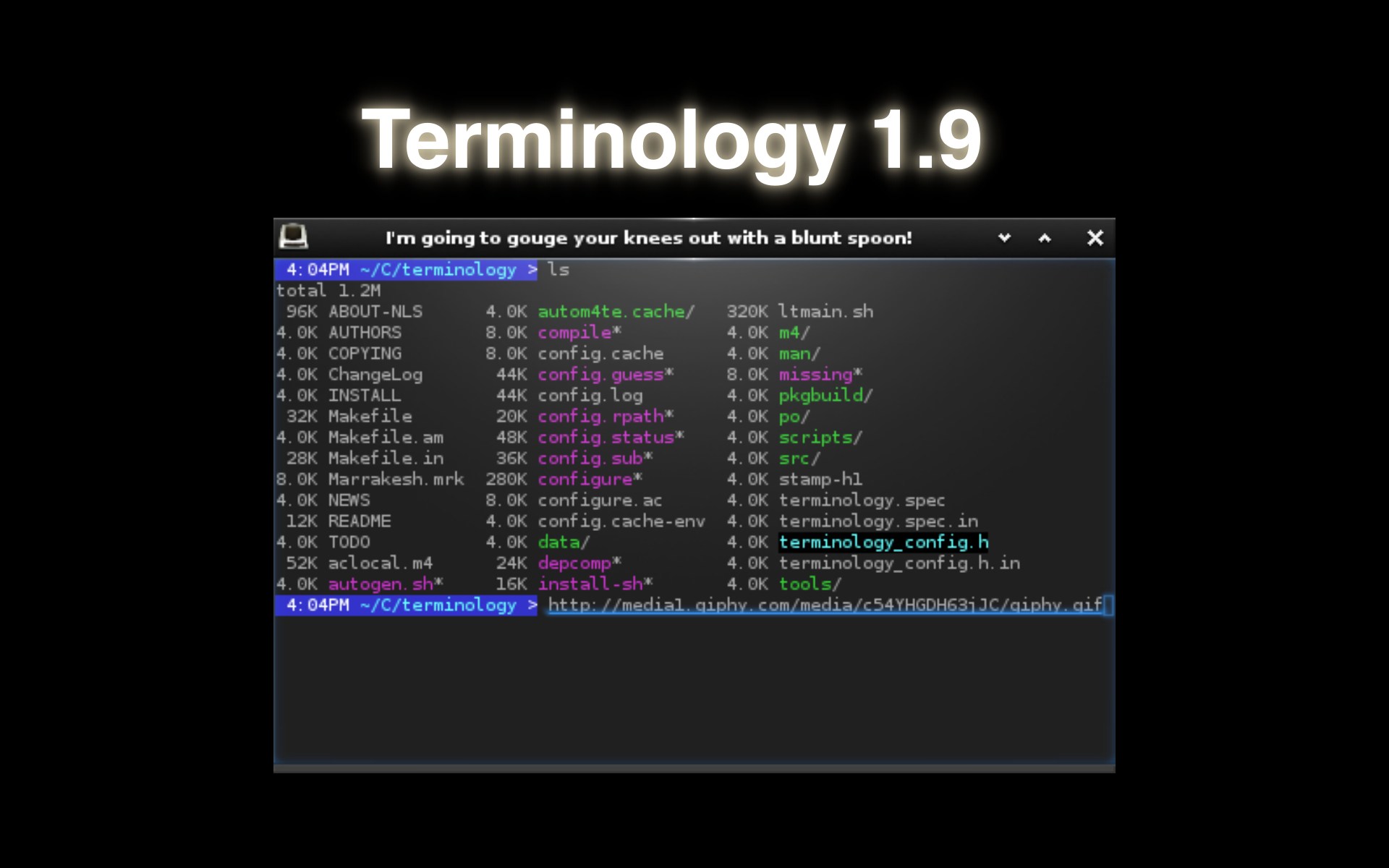 Terminology 1.9 Terminal Emulator Works Better with Debian-Based Systems