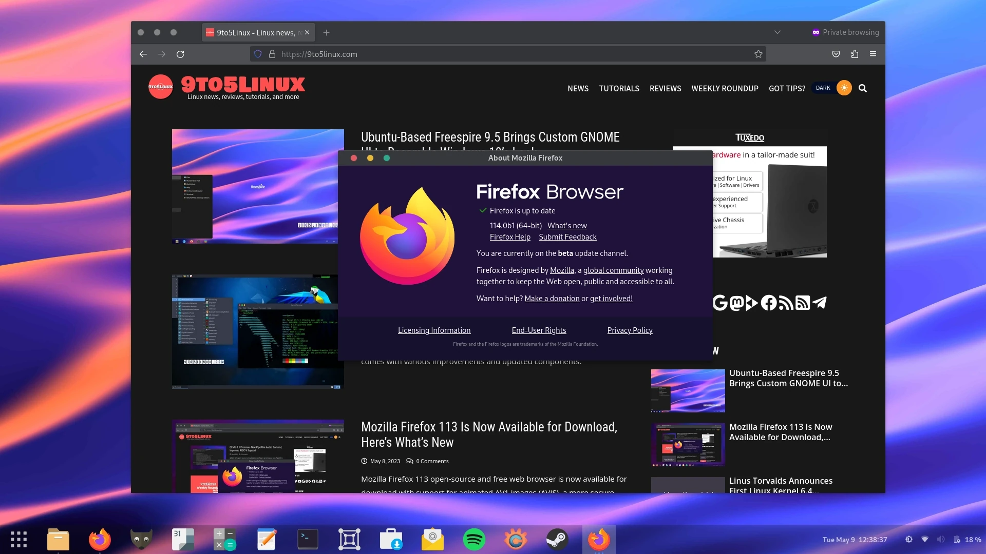Firefox 114 Beta Revamps DNS over HTTPS Feature, Adds Cookie Banner Reduction