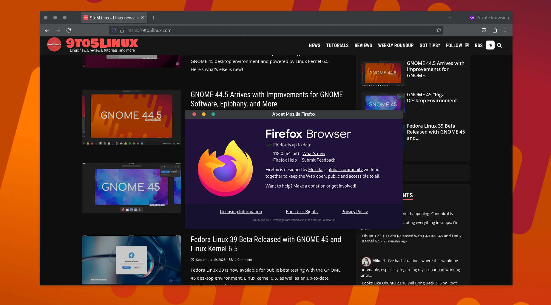 Firefox 118 Is Now Available for Download with Built-In Translation for Websites