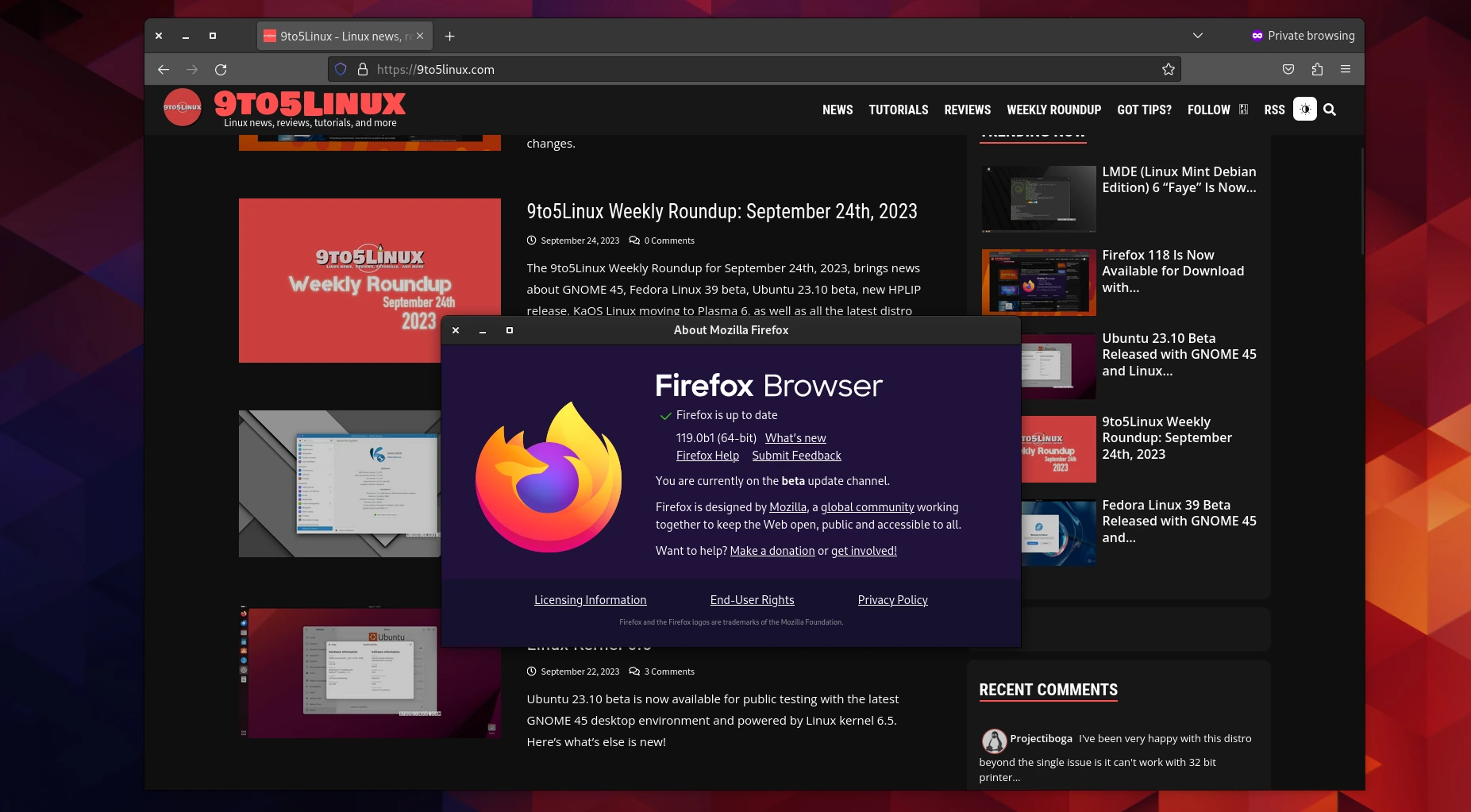 Firefox 119 Promises to Let You Import Some of Your Chrome Extensions