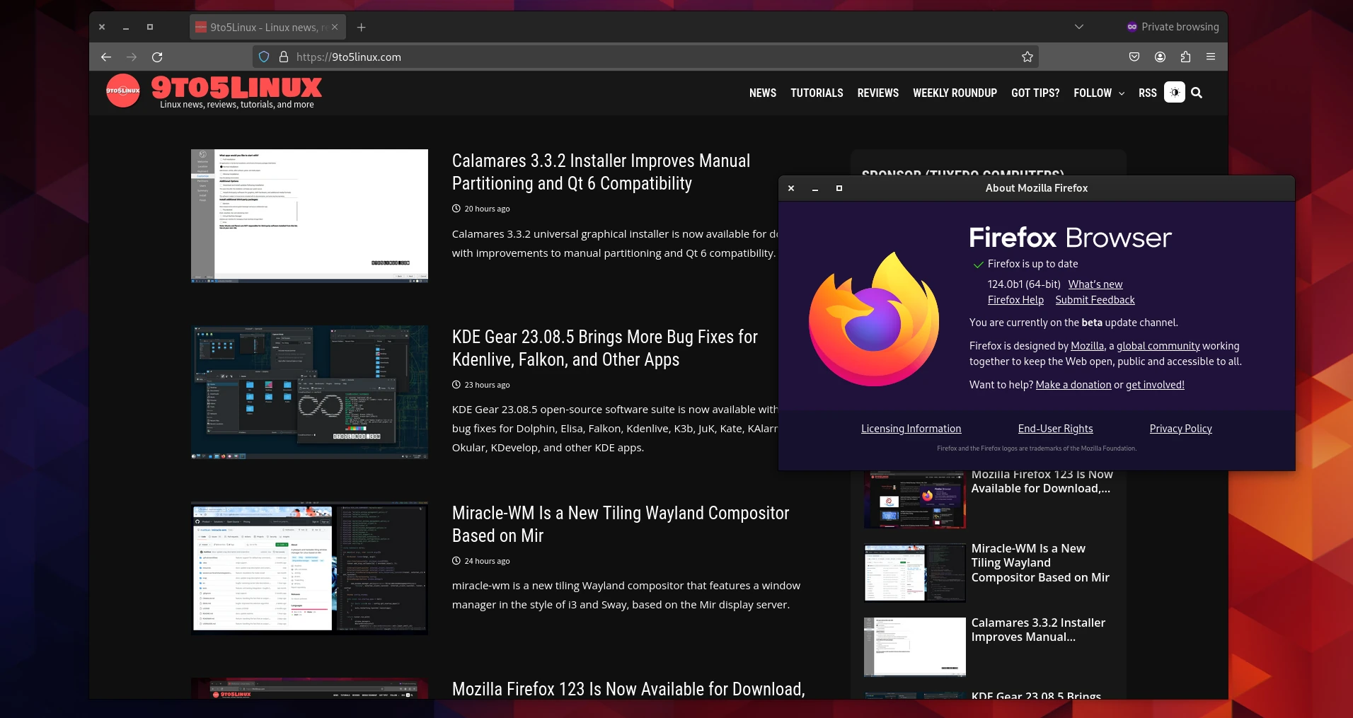 Mozilla Firefox 124 Is Now Available for Public Beta Testing, Here’s What to Expect